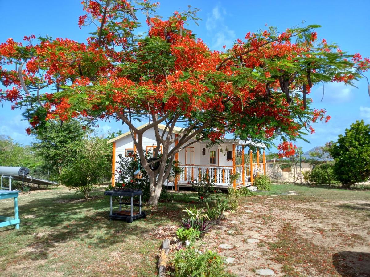 Bungalow Au Soleil Saint-Francois  Ngoại thất bức ảnh